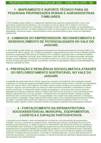 <p>CONSULTA POPULAR 2025&nbsp;</p>