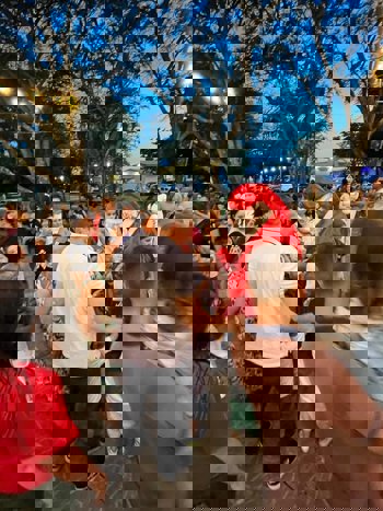 <p>Entardecer Natalino da EMEI Pingo de Gente</p>