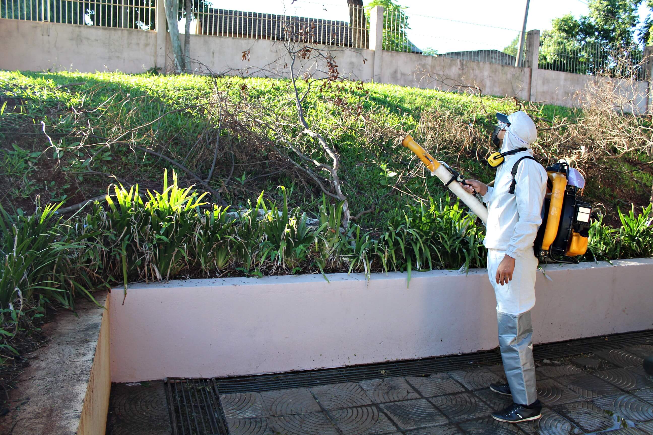 Casos de dengue são registrados em São Luiz Gonzaga 