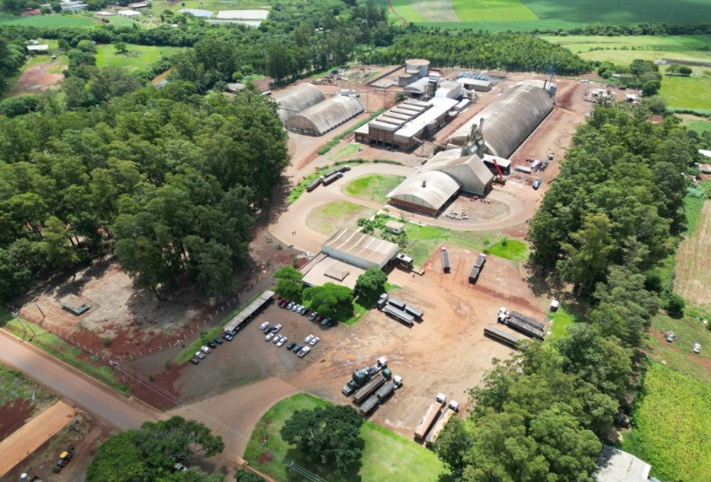 <p>Camera anuncia primeira unidade de processamento de canola do Pa&iacute;s</p>