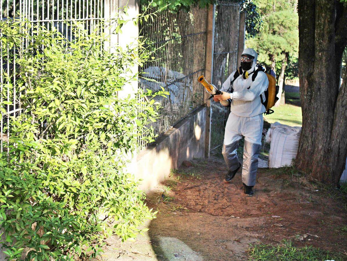 <p><strong>S&atilde;o Luiz Gonzaga registra 291 casos confirmados de dengue </strong></p>