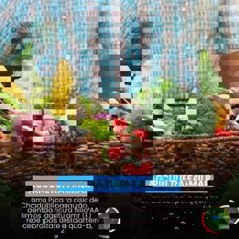 <p><strong>Chamada para aquisi&ccedil;&atilde;o de alimentos (PAA) recebe propostas at&eacute; quarta, 29</strong></p>