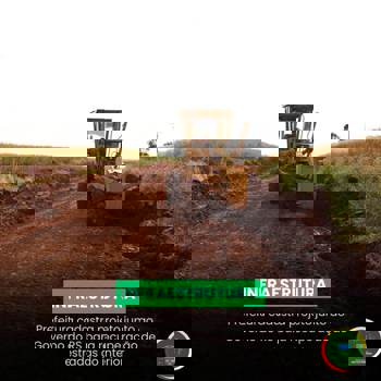 <p><strong>Prefeitura cadastra projeto junto ao Governo do RS para recupera&ccedil;&atilde;o de estradas do interior</strong></p>