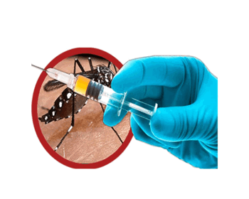 <p><strong>Vacina contra dengue n&atilde;o &eacute; oferecida na rede p&uacute;blica de sa&uacute;de em S&atilde;o Luiz Gonzaga</strong></p>