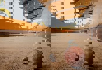 <p><strong>Inicia a 2&ordf; fase da ta&ccedil;a Ferragem Dalcin de Bocha 2025</strong></p>