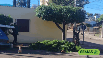 <p><strong>Prazo para requerimento de podas encerra dia 15 de agosto</strong></p>