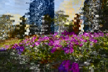 <p>S&atilde;o Luiz Gonzaga retorna ao Mapa do Turismo Brasileiro</p>