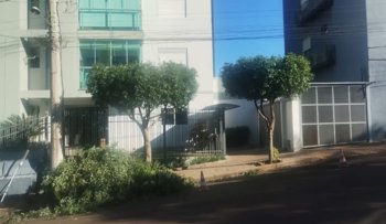 <span style="font-size: 10pt;">Requerimento de podas encerra no dia 14 de agosto</span>