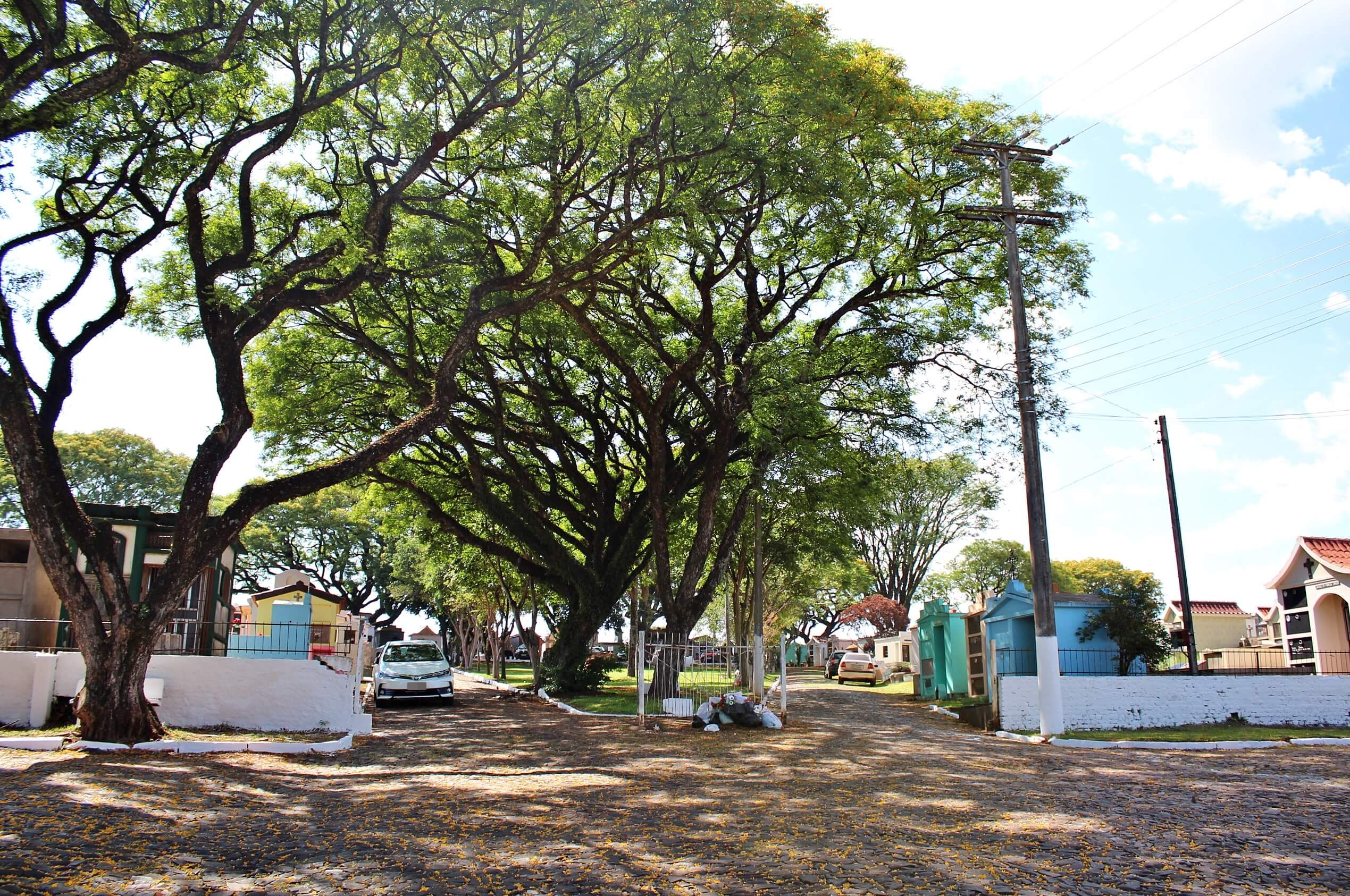 SEMASC informa sobre a realização de reformas no Cemitério Municipal