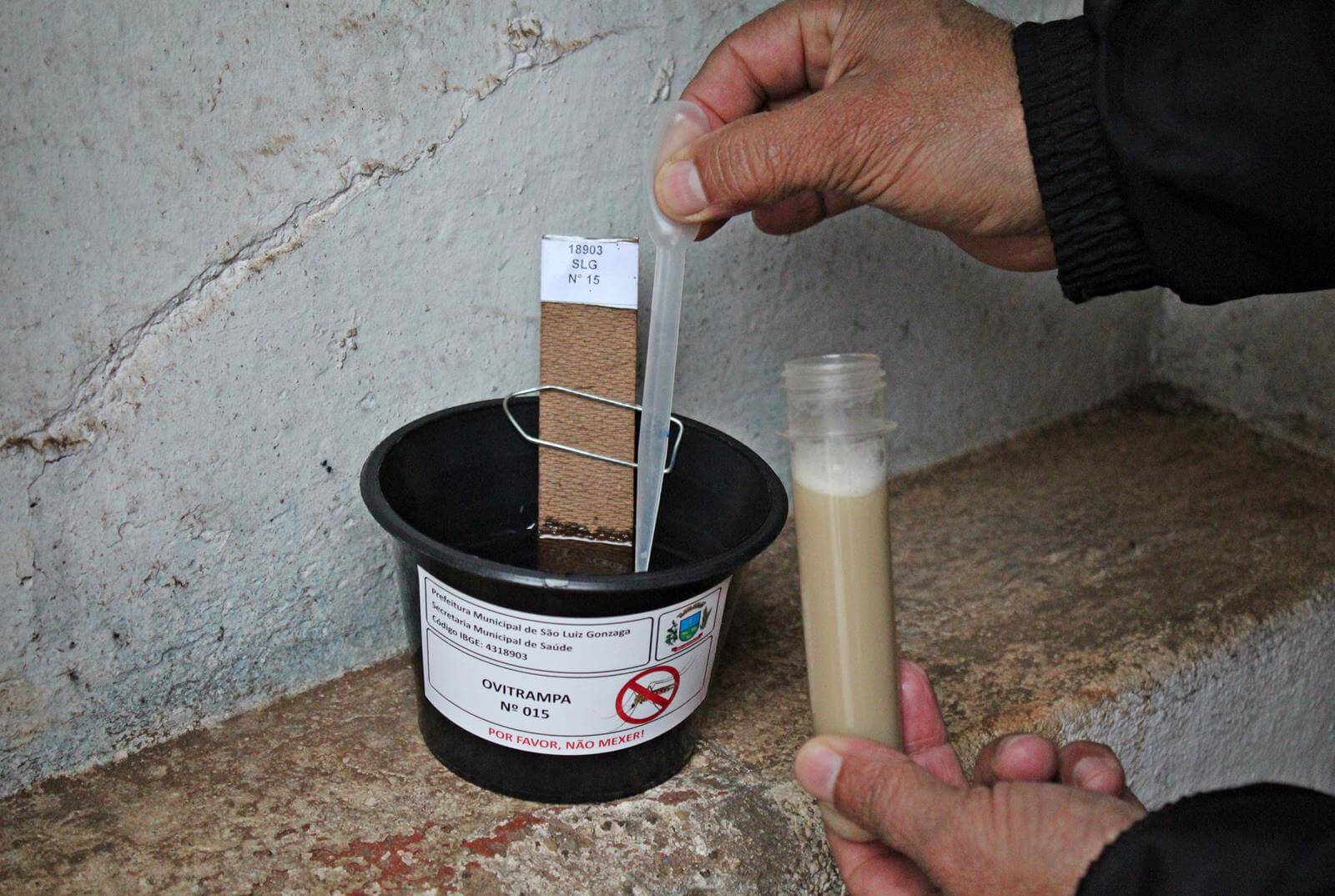 SEMSA instala “armadilhas” para mapear locais com maior proliferação do Aedes aegypti