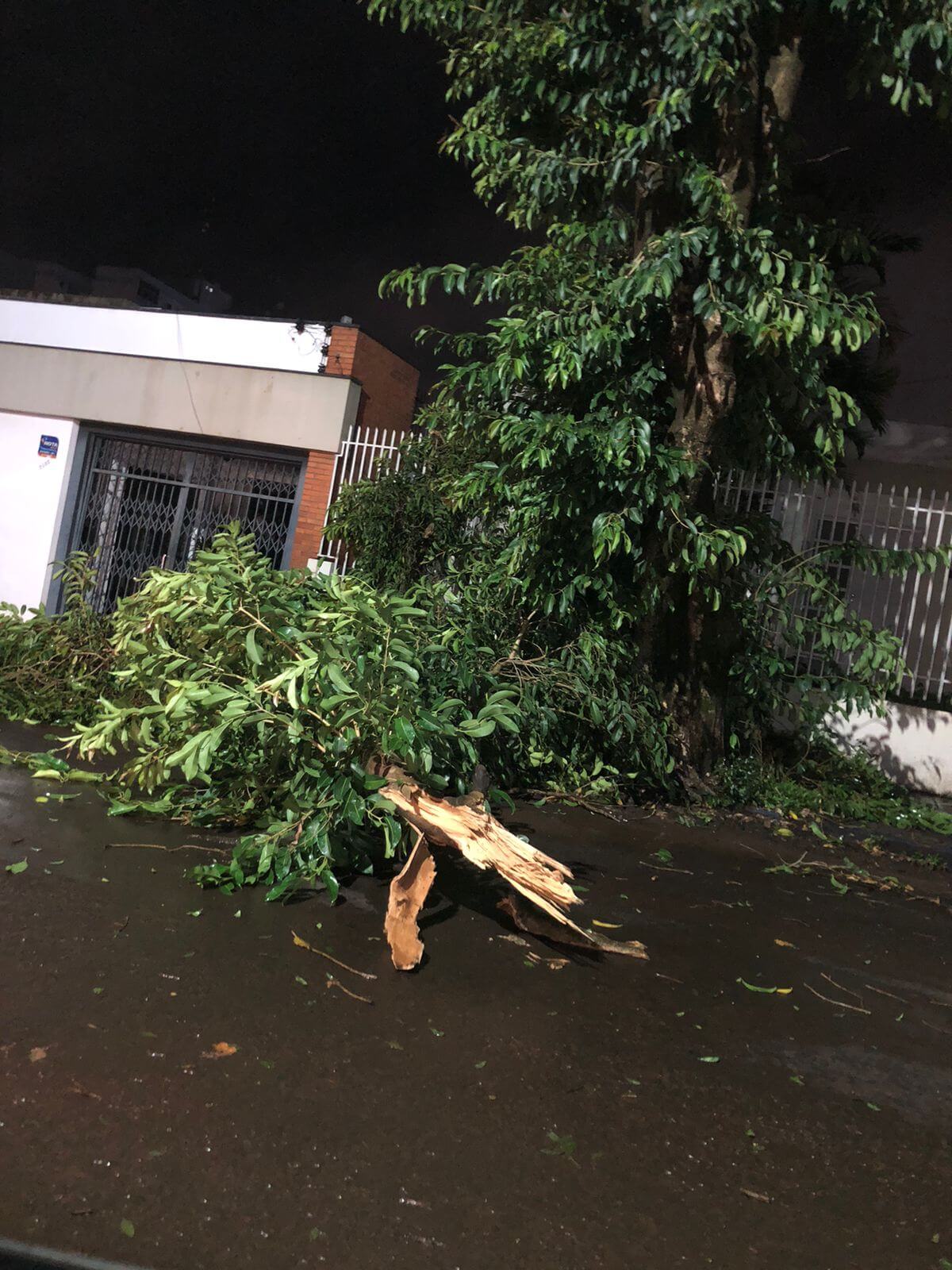 <p>Munic&iacute;pios enviam m&aacute;quinas para auxiliar na limpeza da cidade</p>