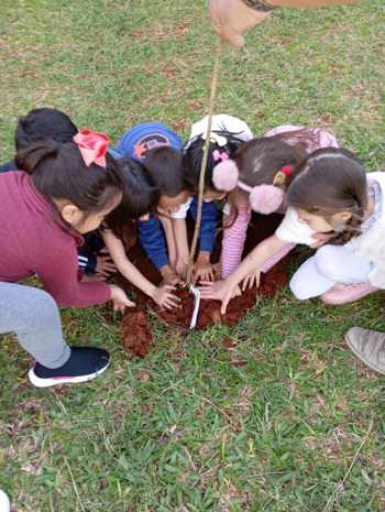 <p>Educa&ccedil;&atilde;o Ambiental nas Escolas em Comemora&ccedil;&atilde;o ao Dia da &Aacute;rvore&nbsp;</p>