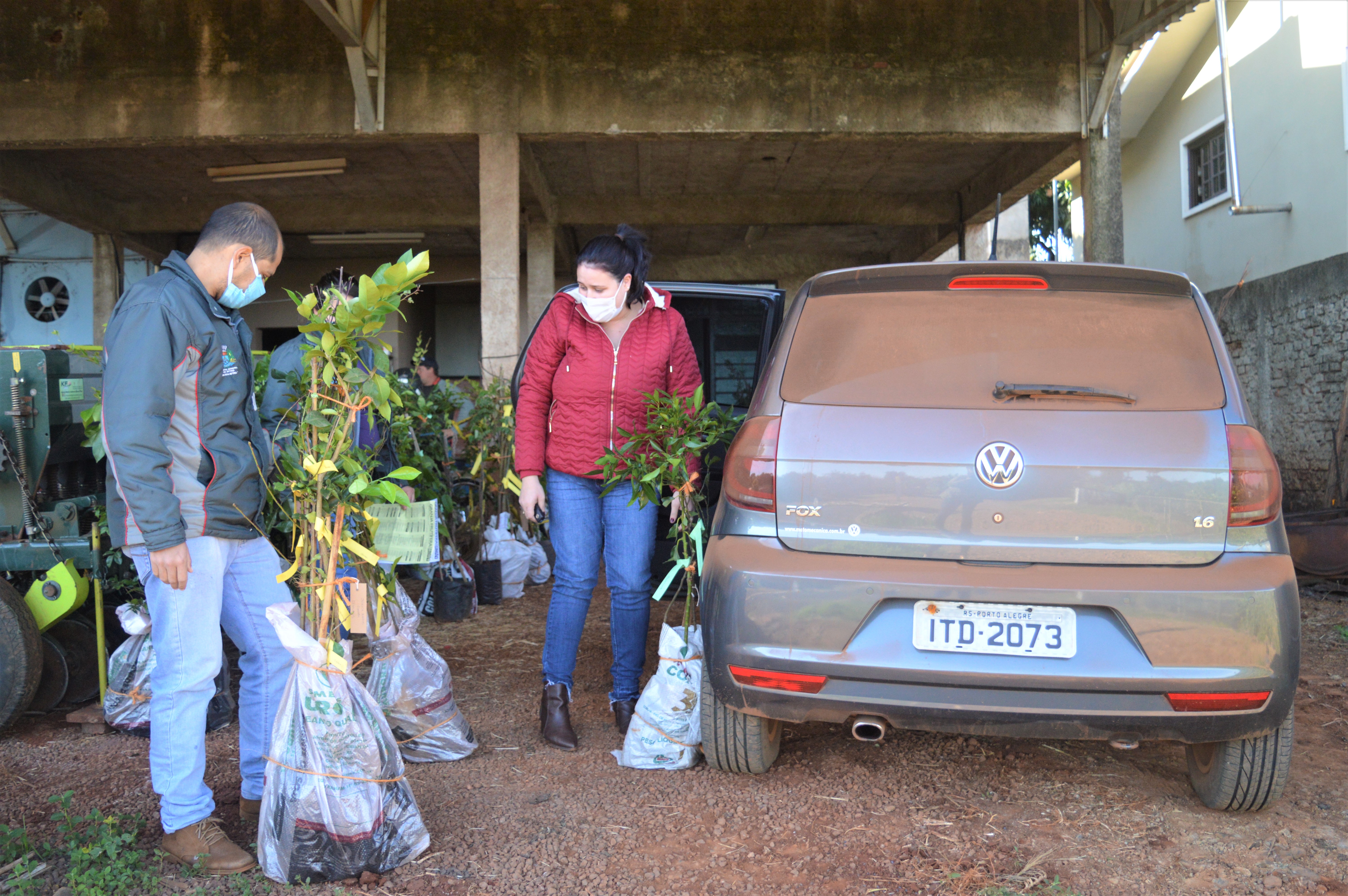SECRETARIA DA AGRICULTURA ENTREGA PRIMEIRA REMESSA DE ENCOMENDAS DE MUDAS