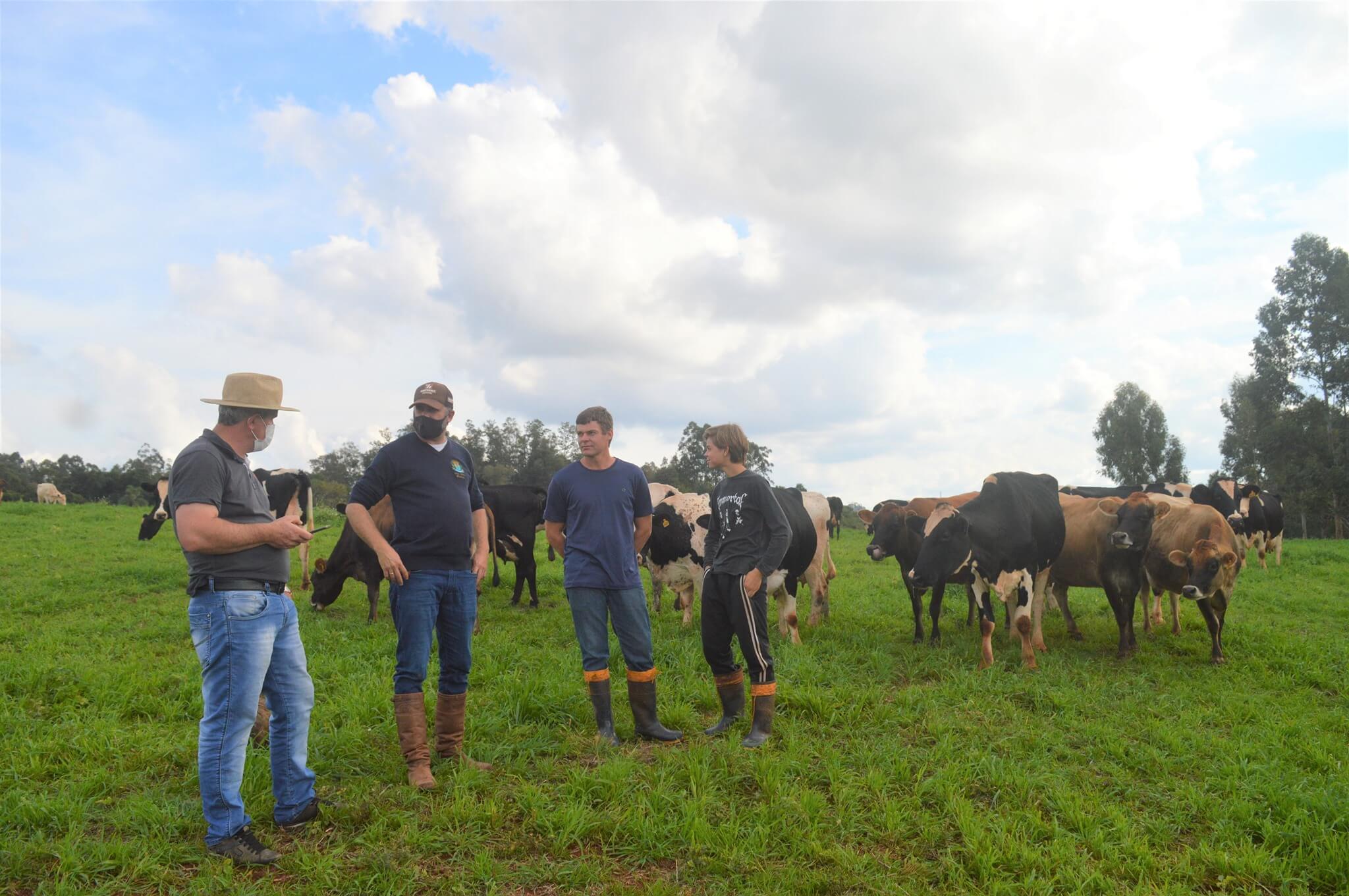 PREFEITO EM EXERCÍCIO, DANIEL VISITA PROPRIEDADES PARA ACOMPANHAR PLANTIO DE TRIGO E DEMAIS PRODUÇÕES AGRÍCOLAS