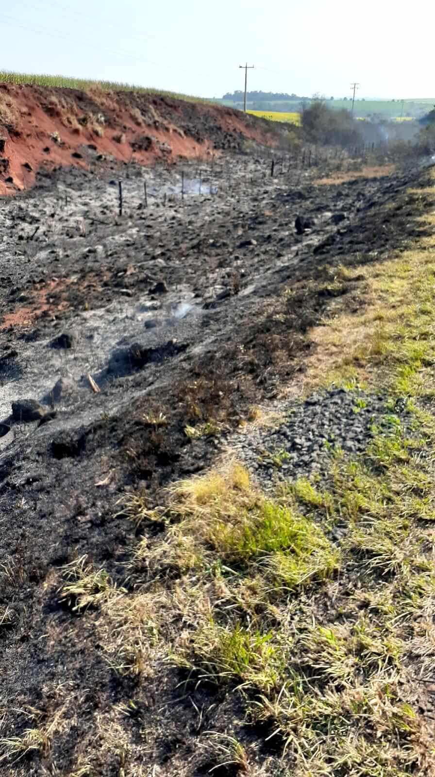 SECRETARIA DO MEIO AMBIENTE ATUOU EM COMBATE A INCÊNDIO NA BR-285 NA QUARTA-FEIRA