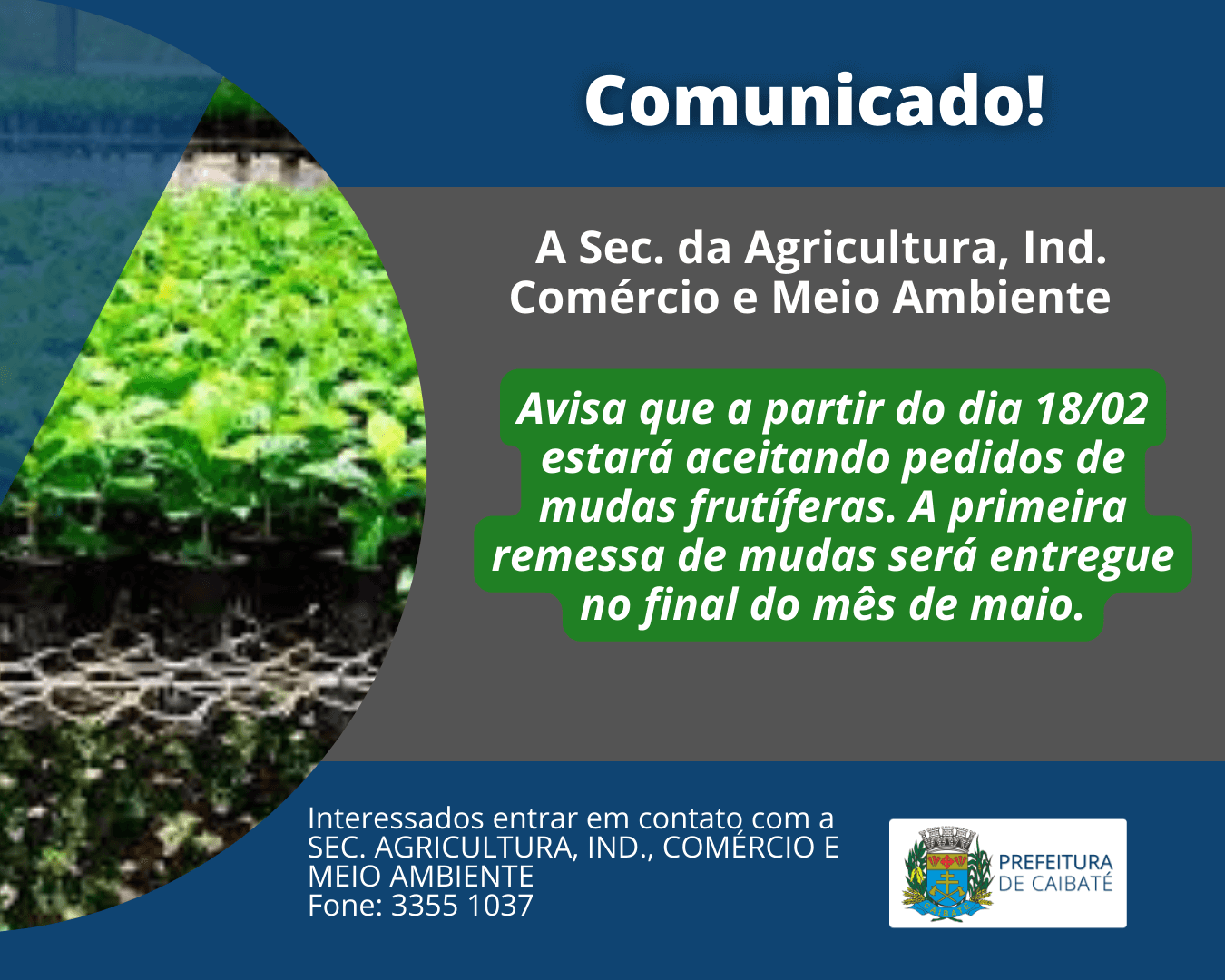 SECRETARIA DA AGRICULTURA RECEBE ENCOMENDAS DE MUDAS FRUTÍFERAS 
