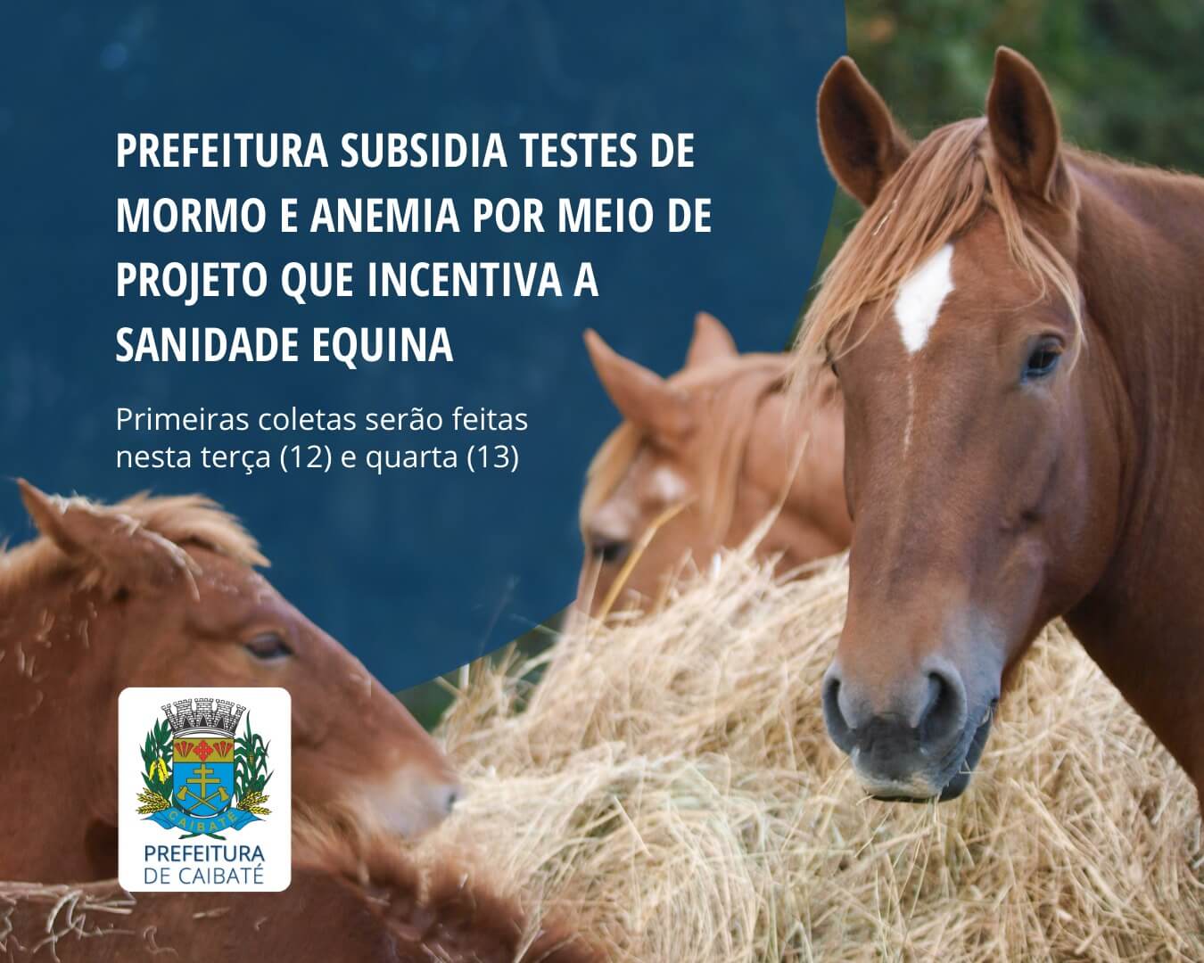 PREFEITURA SUBSIDIA TESTES DE MORMO E ANEMIA POR MEIO DE PROJETO DE INCENTIVO À SANIDADE EQUINA