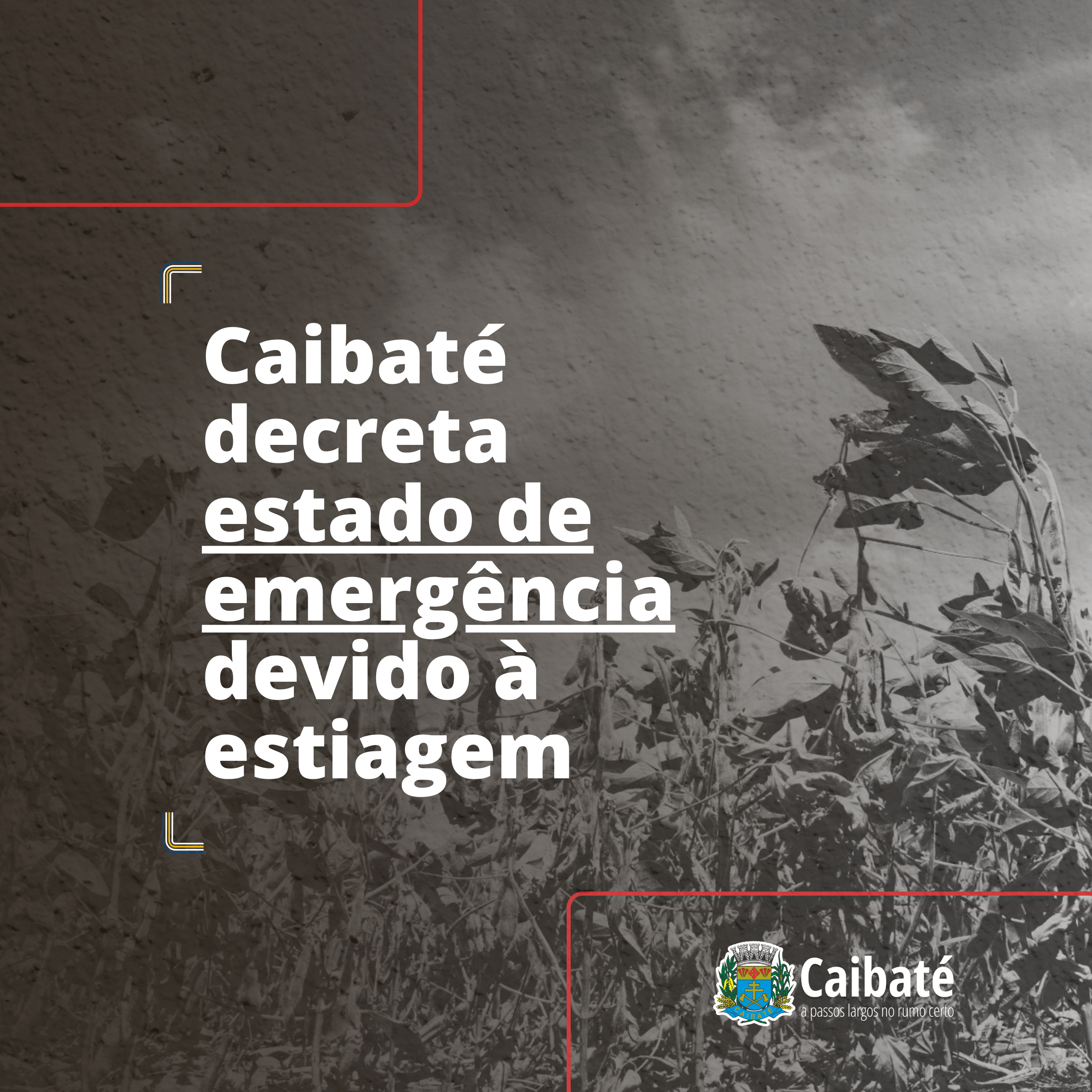 CAIBATÉ DECRETA SITUAÇÃO DE EMERGÊNCIA DEVIDO À ESTIAGEM 