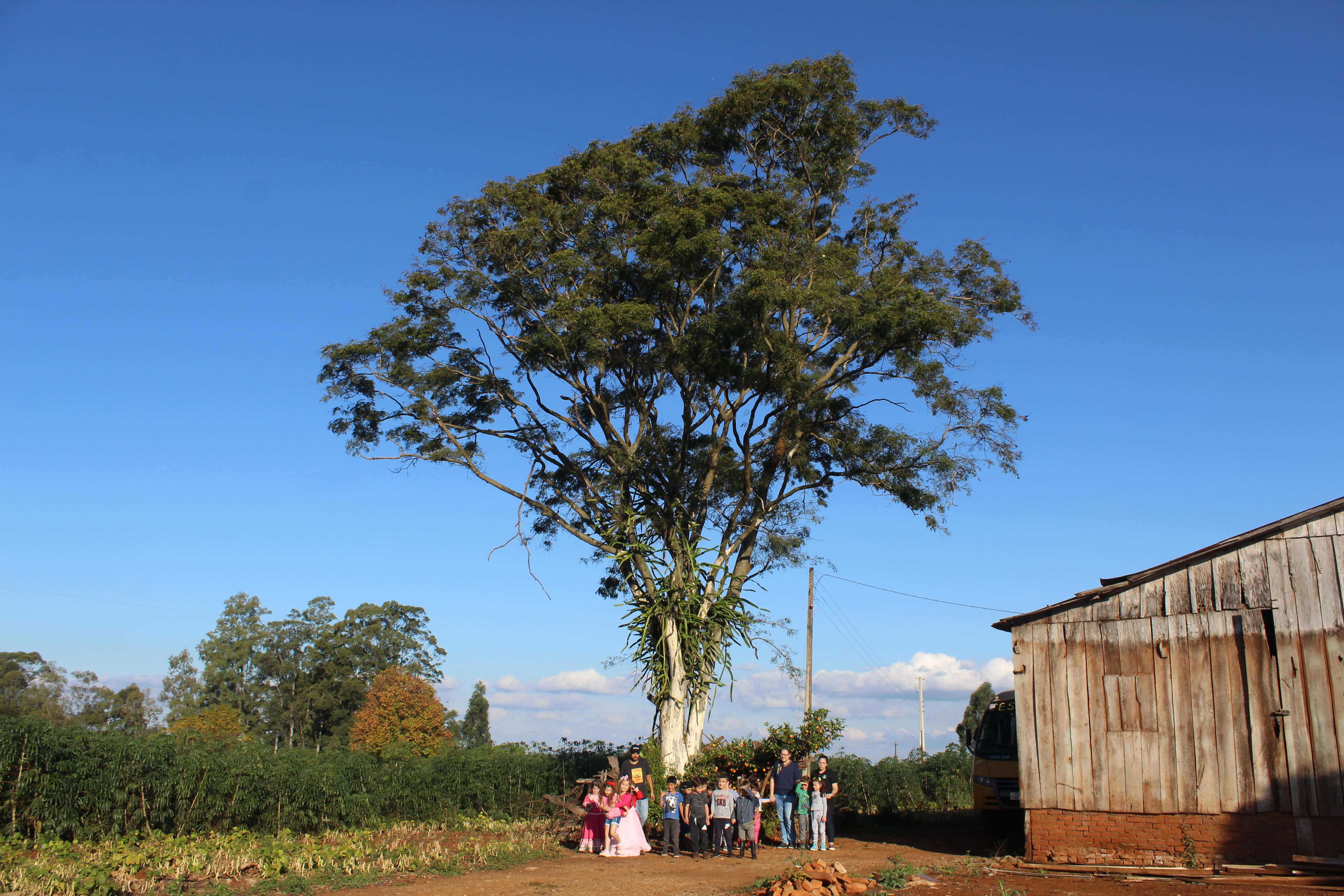 SECRETÁRIO DE AGRICULTURA RICARDO CASTANHO PROMOVE AÇÃO NO DIA MUNIDAL DO MEIO AMBIENTE