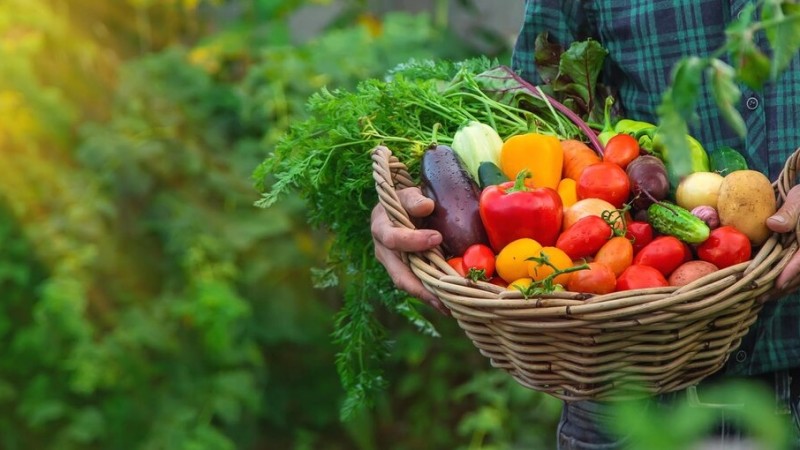 <p>A Secretaria Municipal de Assist&ecirc;ncia Social adere ao Programa de Aquisi&ccedil;&atilde;o de Alimentos (PAA)</p>
