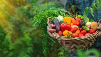 <p>A Secretaria Municipal de Assist&ecirc;ncia Social adere ao Programa de Aquisi&ccedil;&atilde;o de Alimentos (PAA)</p>