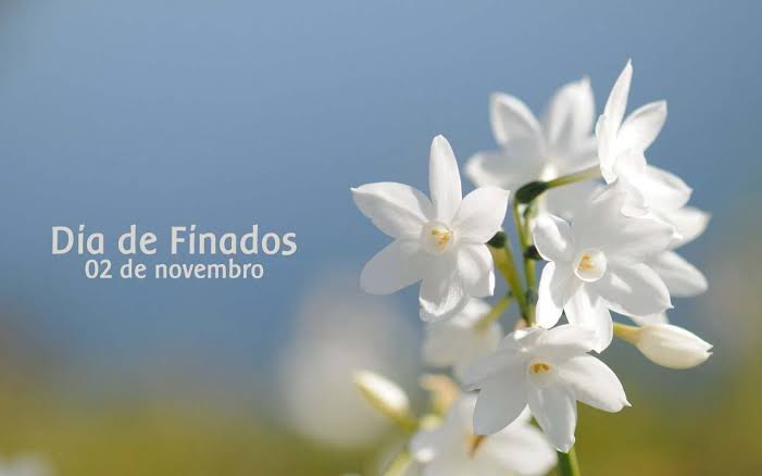 Dia de Finados haverá transporte em Santo Antônio das Missões 