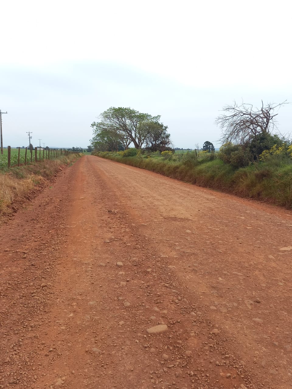 Infraestrutura finaliza obras de manutenção em estradas rurais de Santo Antônio das Missões