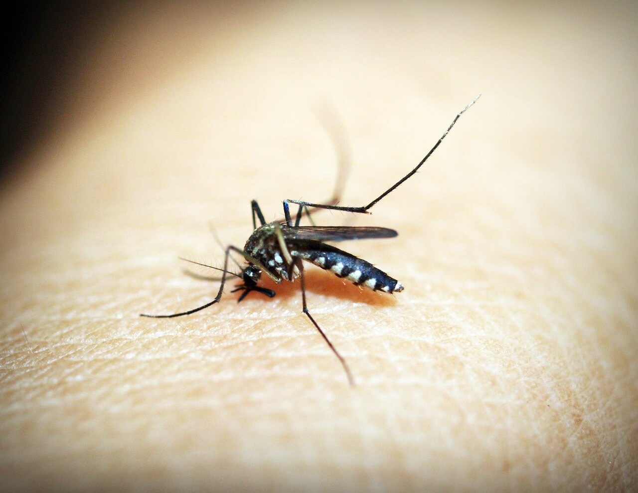 Santo Antônio das Missões registra primeiro caso de dengue