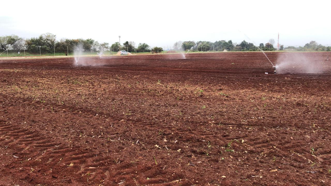 Com novo sistema de irrigação, estádio de Santo Antônio das Missões é revitalizado