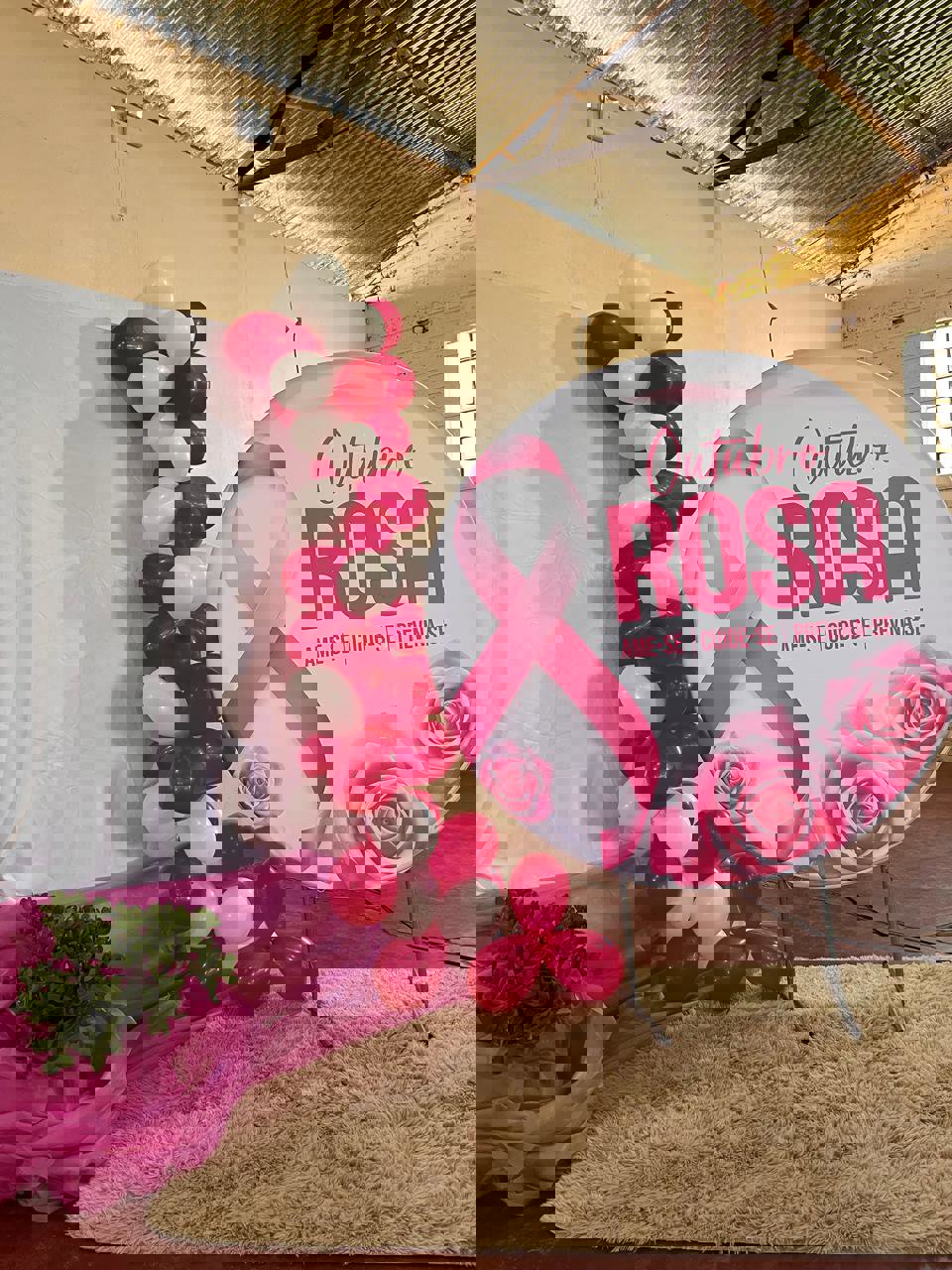 Sessão Solene Alusiva ao Outubro Rosa!!