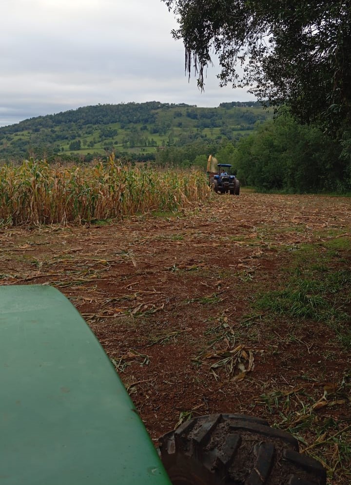 <p><strong>Secretaria de Agricultura trabalha para atender demandas nas lavouras</strong></p>