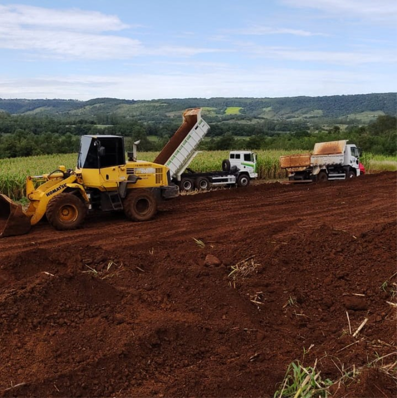 Suinocultura em contínua ascensão