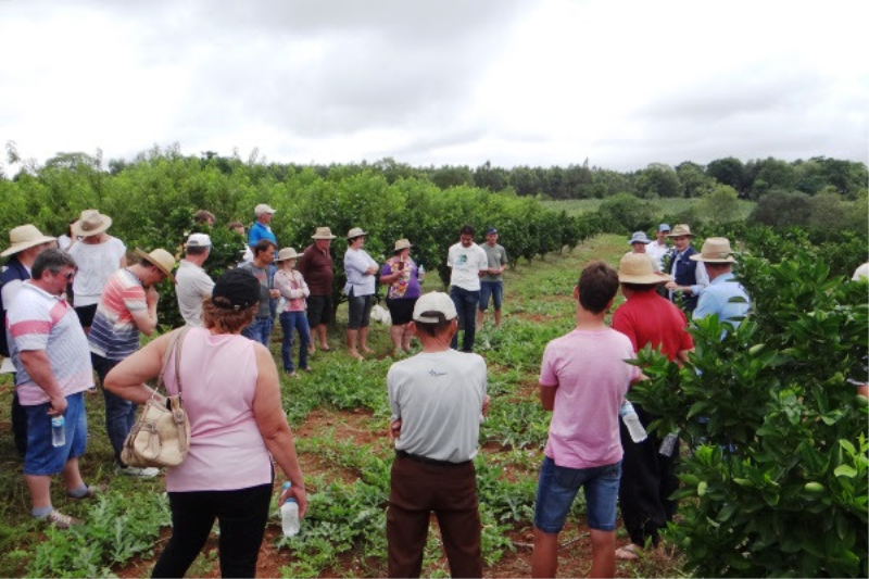 Troca de experiências em Dia de Campo sobre Agroecologia