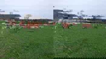 <p data-start="0" data-end="61"><strong data-start="0" data-end="61">Restitui&ccedil;&atilde;o de Juros para Agricultores de Porto Vera Cruz</strong></p>
<p data-start="63" data-end="440">&nbsp;</p>