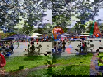 <p><strong>Evento em Porto Vera Cruz marca 33 anos de emancipa&ccedil;&atilde;o com cultura e alegria</strong></p>