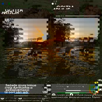 <p><strong>Secretaria de Agricultura do munic&iacute;pio oferece s&ecirc;men sexado, para Produtores Rurais do Munic&iacute;pio que desejam melhorar seu rebanho</strong></p>