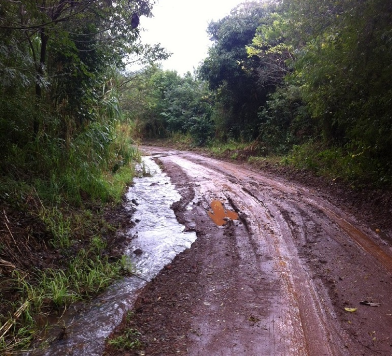 Recuperação das Estradas