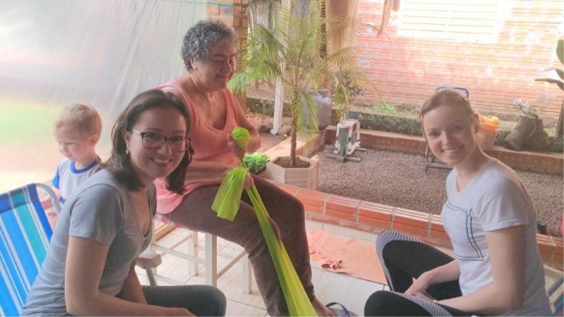 Visitas domiciliares