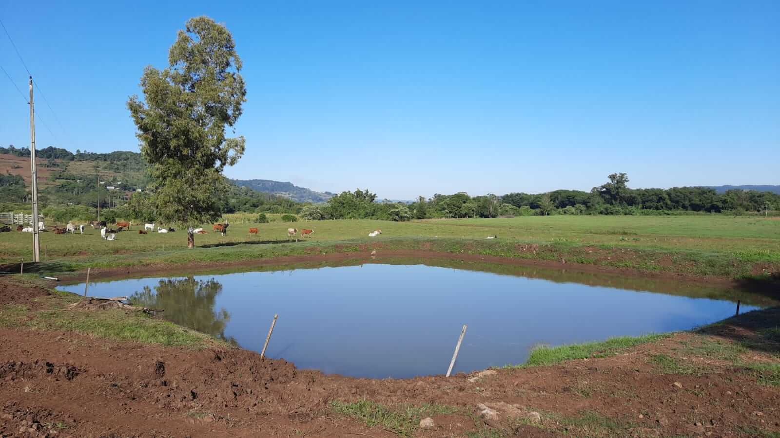 Propriedades com Mais Água