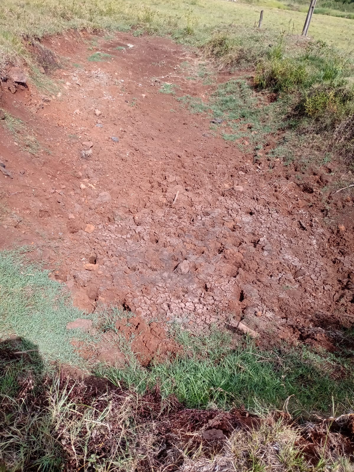 SITUAÇÃO DE EMERGÊNCIA DEVIDO À ESTIAGEM
