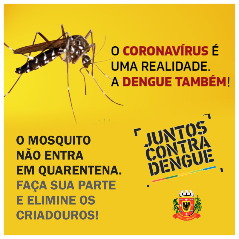 O Aedes Aegypti não entra em quarentena