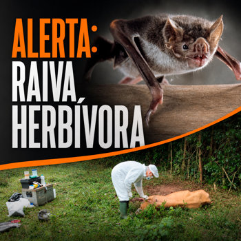 <strong>Munic&iacute;pio refor&ccedil;a preven&ccedil;&atilde;o e cuidados contra a Raiva Herb&iacute;vora</strong>