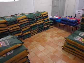 <p><strong>Braga-RS entrega sementes de milho a 64 agricultores pelo Programa Milho 100%.</strong></p>