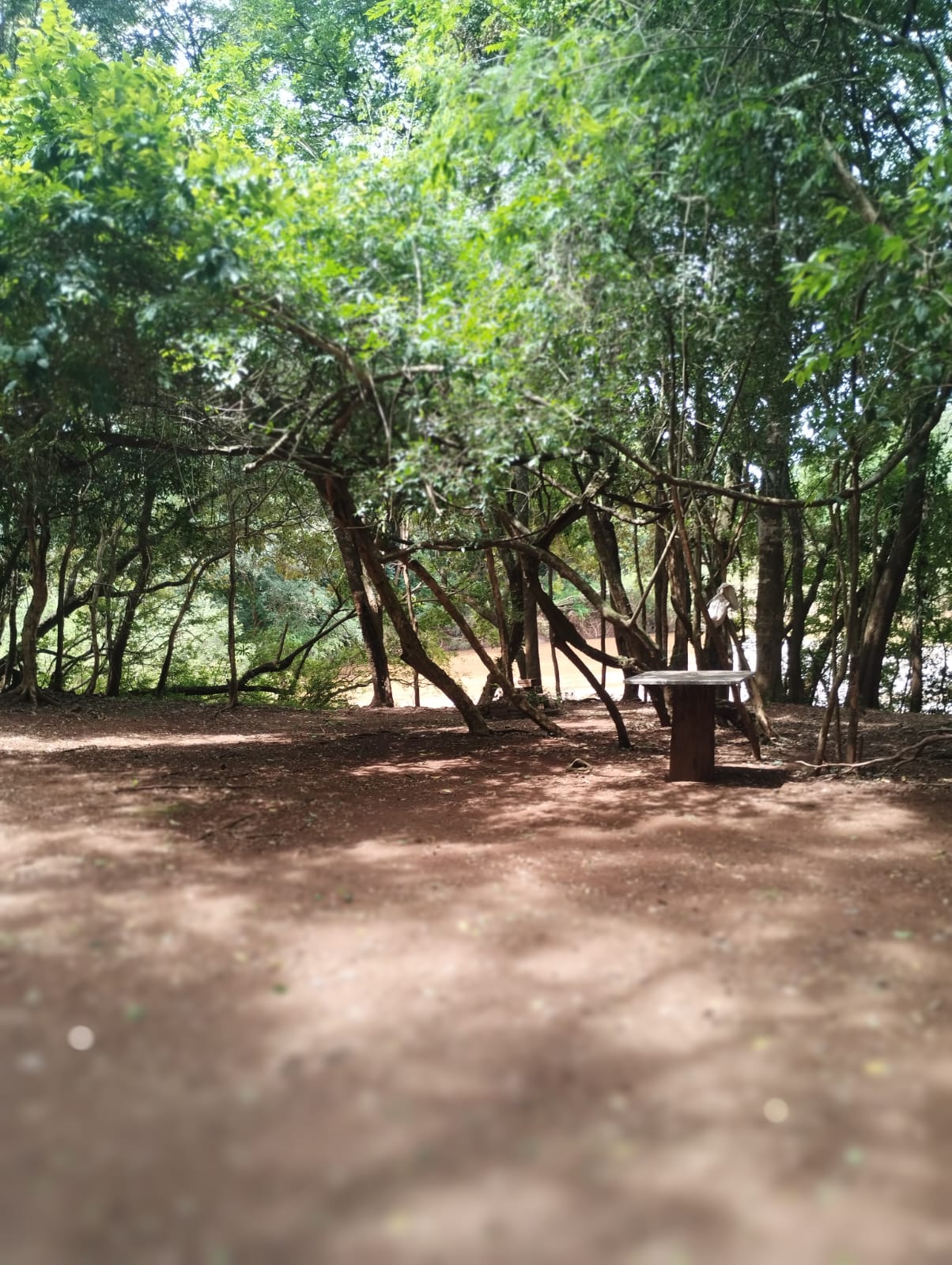 Balneário Amigos da Beira Rio