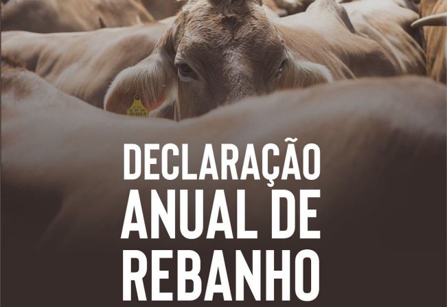 <p>DECLARA&Ccedil;&Atilde;O ANUAL DE REBANHO - 2024</p>