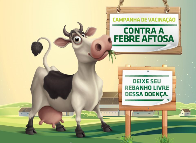 VACINAÇÃO CONTRA FEBRE AFTOSA 