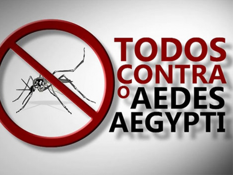 O COMBATE AO MOSQUITO DA DENGUE NÃO PODE PARAR!