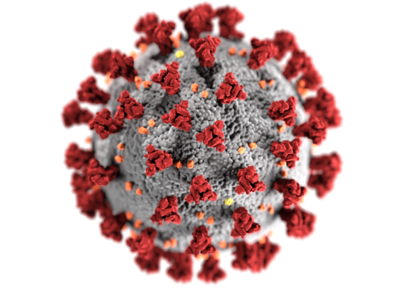 RECOMENDAÇÕES PARA PREVENÇÃO DO COVID 19/CORONAVIRUS  PARA POPULAÇÃO DE SÃO JOSÉ DO INHACORÁ