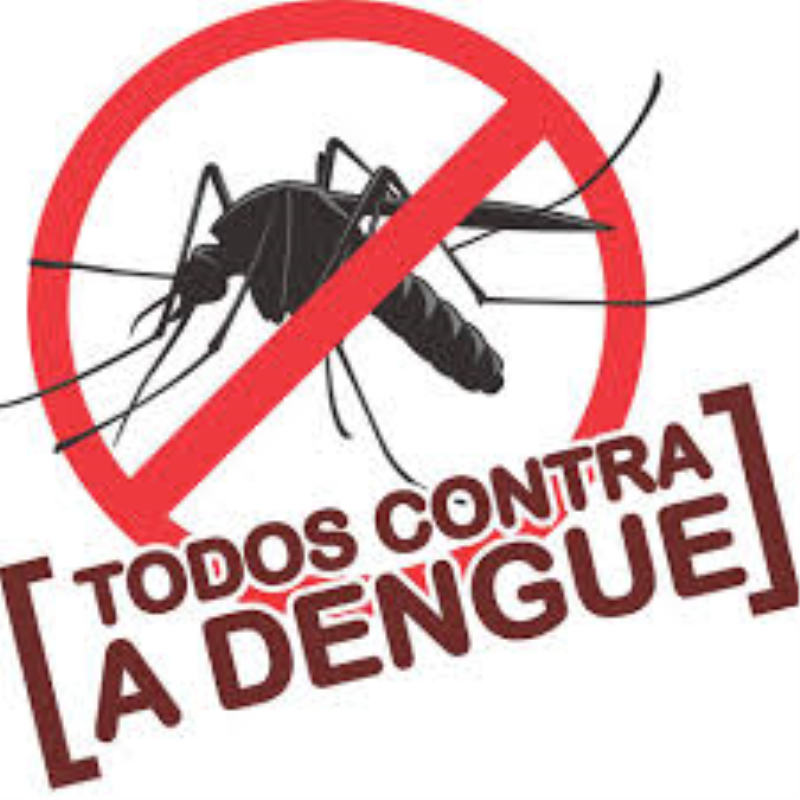 O COMBATE AO MOSQUITO NÃO PODE PARAR