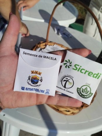 Resgate de plantas medicinais marca a Caminhada Penitencial nos Caminhos do Calv&aacute;rio
